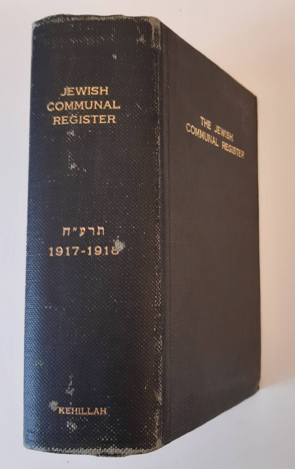 The Jewish Communal Register of New York City 1917-1918. Second Edition. Published by the Kehillah (Jewish Community) of New York City.