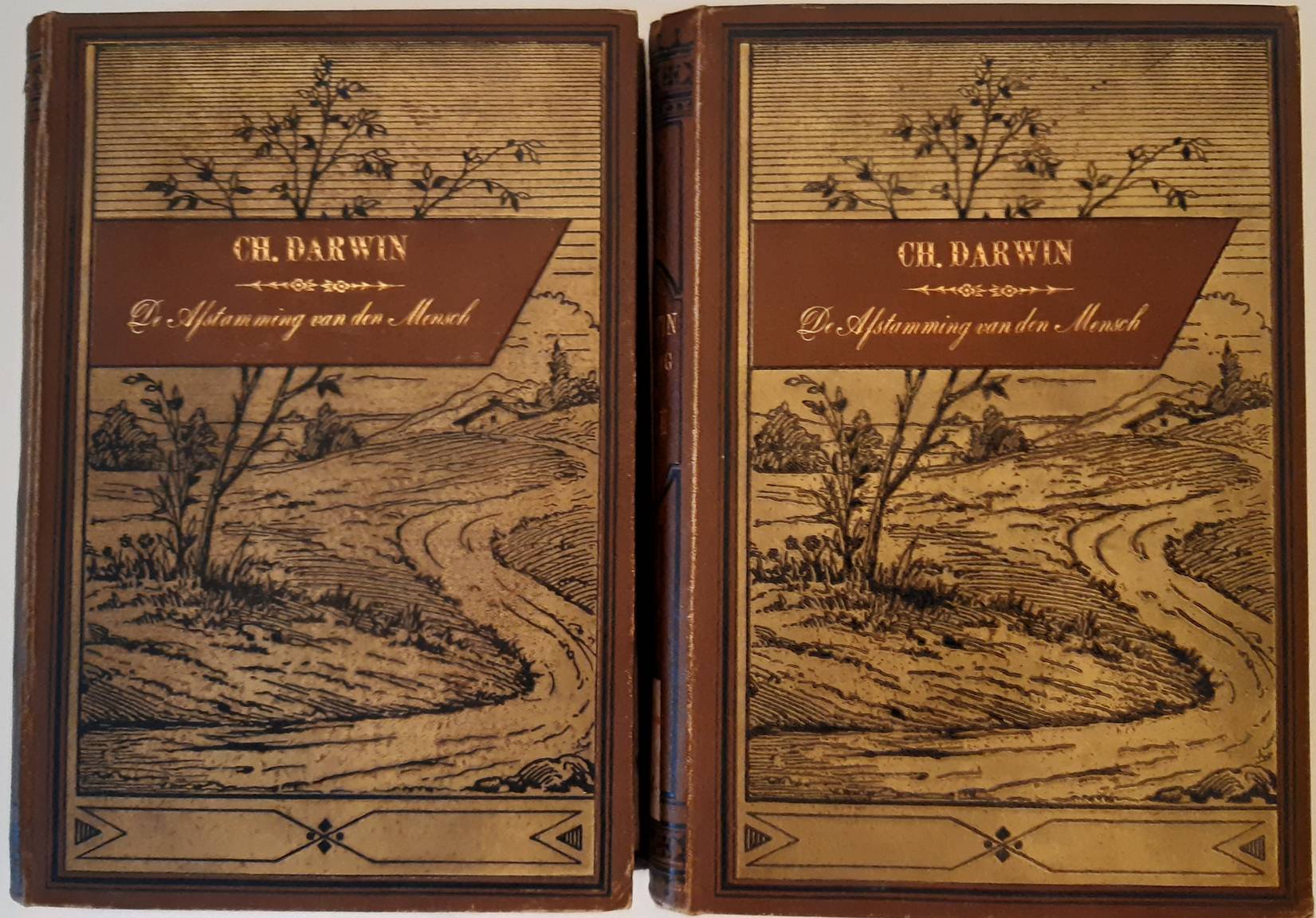 DARWIN, CHARLES. De afstamming van den mensch en de seksueele teeltkeus. Derde druk. Naar de tweede herziene en vermeerderde  Engelsche uitgave (13de duizend) omgewerkt en van aanteekeningen voorzien door Dr. H. Hartogh Heys van Zouteveen. 2 delen.
