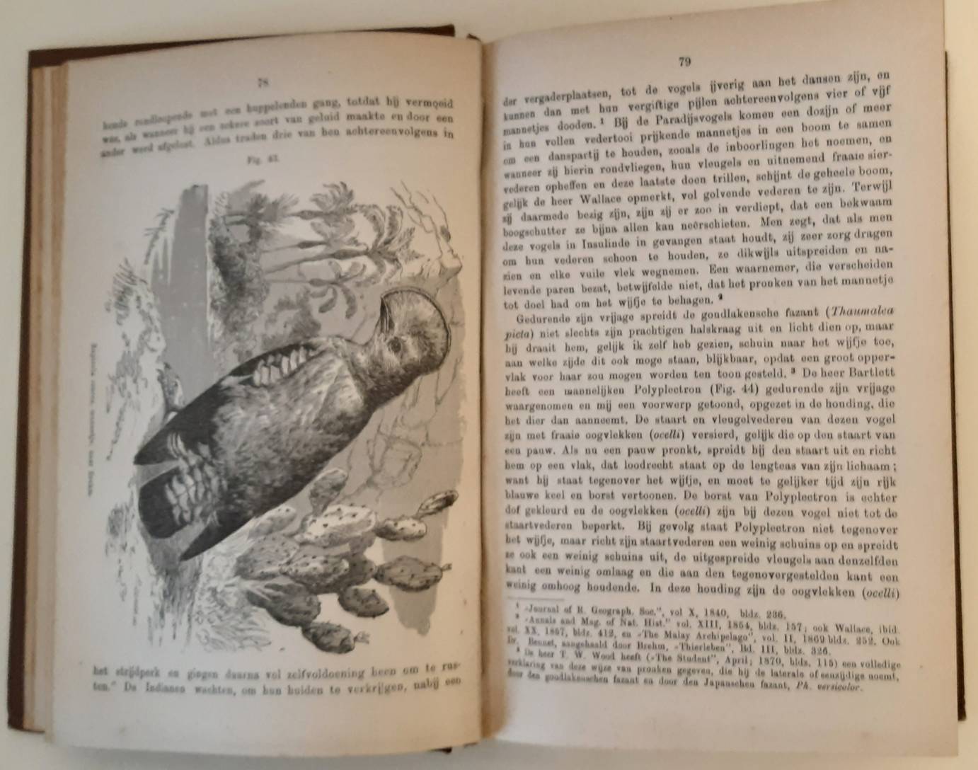 DARWIN, CHARLES. De afstamming van den mensch en de seksueele teeltkeus. Derde druk. Naar de tweede herziene en vermeerderde  Engelsche uitgave (13de duizend) omgewerkt en van aanteekeningen voorzien door Dr. H. Hartogh Heys van Zouteveen. 2 delen.